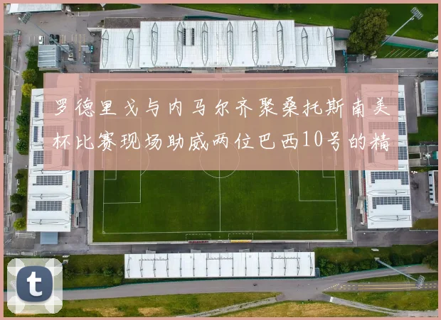 罗德里戈与内马尔齐聚桑托斯南美杯比赛现场助威两位巴西10号的精彩时刻